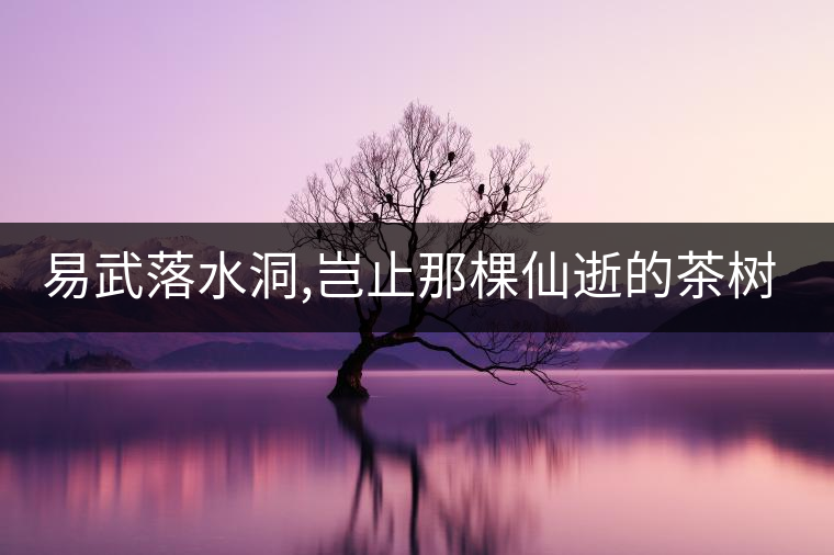 易武落水洞,豈止那棵仙逝的茶樹王?易武落水洞,豈止那棵仙逝的茶樹王？
