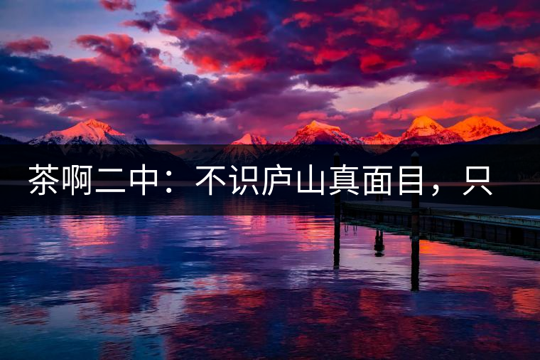 茶啊二中：不識廬山真面目，只識彎弓射大雕，賈淳真搞笑