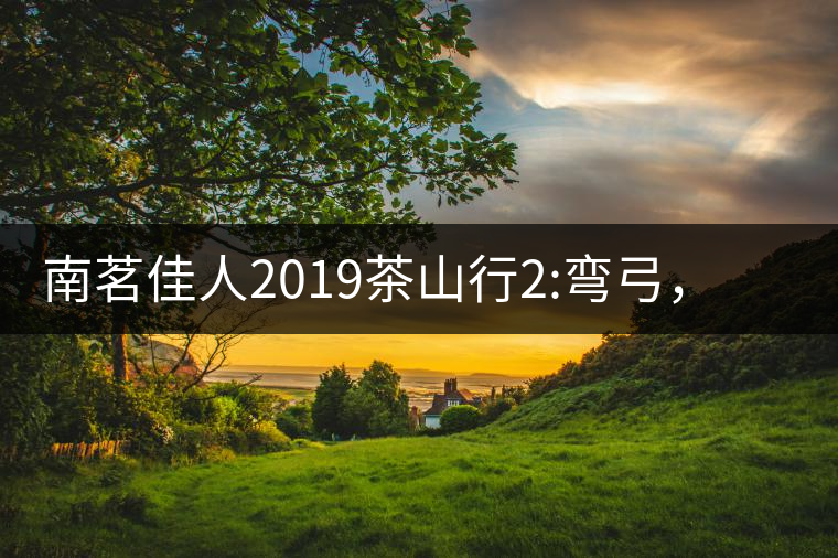 南茗佳人2019茶山行2:彎弓，一路艱辛，只為這有生命...南茗佳人2019茶山行2：彎弓，一路艱辛，只為這有生命厚度的茶！