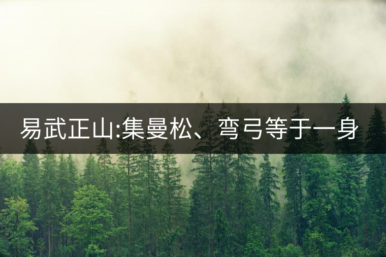 易武正山:集曼松、彎弓等于一身的貴族老黃片，好喝沒(méi)得...易武正山：集曼松、彎弓等于一身的貴族老黃片，好喝沒(méi)得說(shuō)