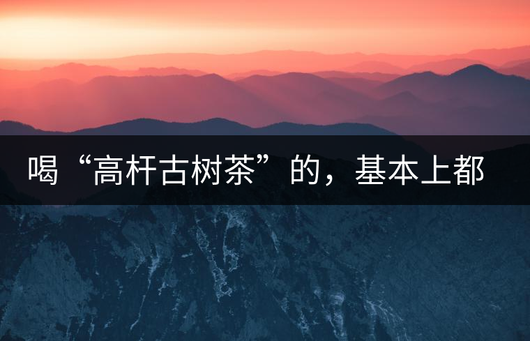 喝“高桿古樹茶”的，基本上都是不懂茶的