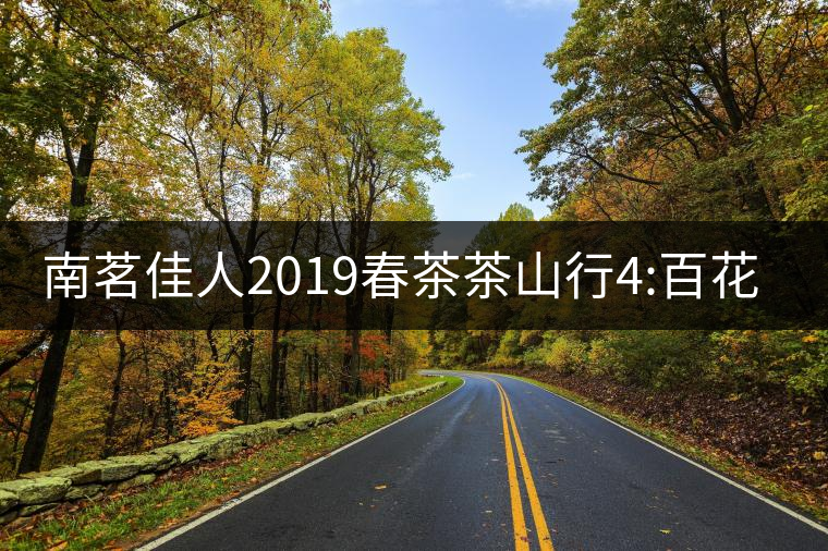 南茗佳人2019春茶茶山行4:百花潭--不想再去第2次的古...南茗佳人2019春茶茶山行4：百花潭——不想再去第2次的古樹(shù)茶園