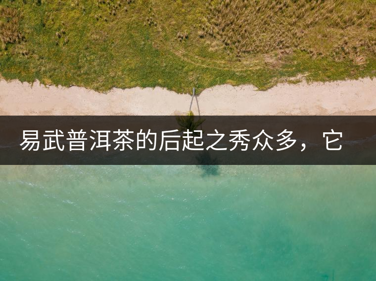 易武普洱茶的后起之秀眾多，它是還沒(méi)漲價(jià)的一個(gè)！