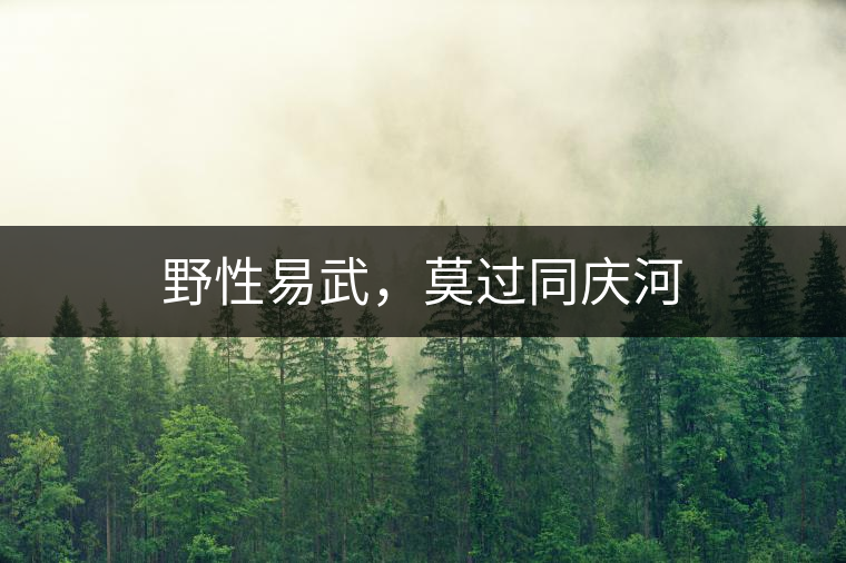 野性易武，莫過同慶河