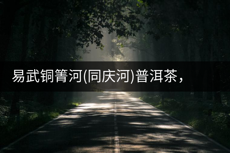 易武銅箐河(同慶河)普洱茶，讓我拜倒的不止它的口感易武銅箐河（同慶河）普洱茶，讓我拜倒的不止它的口感