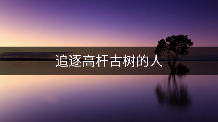 追逐高桿古樹的人