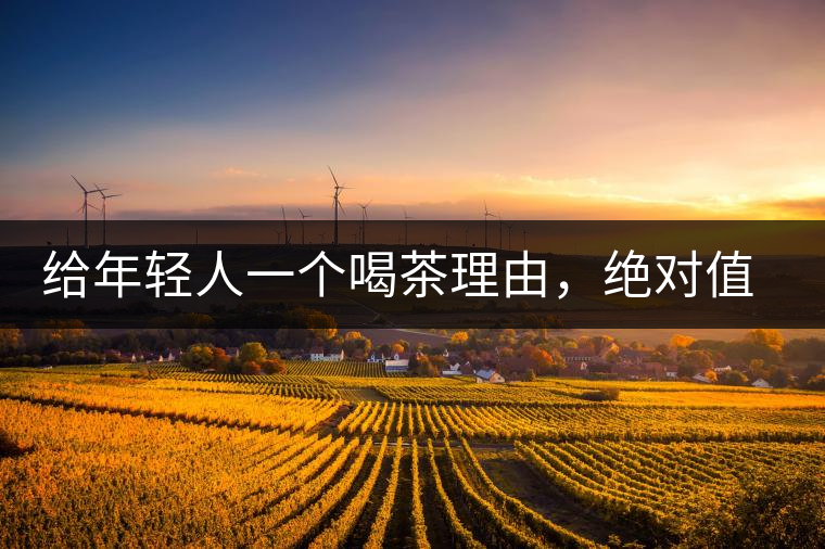 給年輕人一個喝茶理由，絕對值得收藏的茶葉包裝給年輕人一個喝茶理由，絕對值得收藏的茶葉包裝