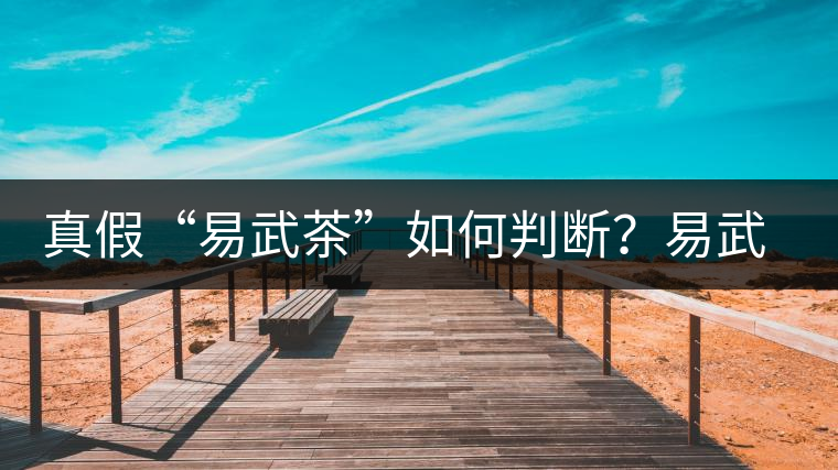 真假“易武茶”如何判斷？易武普洱茶有哪些特點(diǎn)？