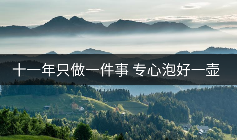 十一年只做一件事 專心泡好一壺易武茶 十一年只做一件事 專心泡好一壺易武茶