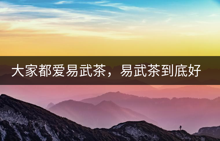大家都愛易武茶，易武茶到底好在哪兒?大家都愛易武茶，易武茶到底好在哪兒？
