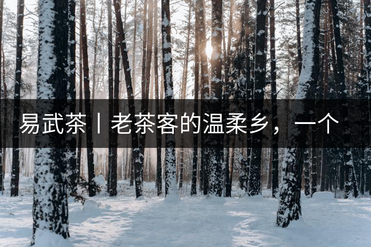 易武茶丨老茶客的溫柔鄉(xiāng)，一個“柔”字迷倒了多少英雄漢！