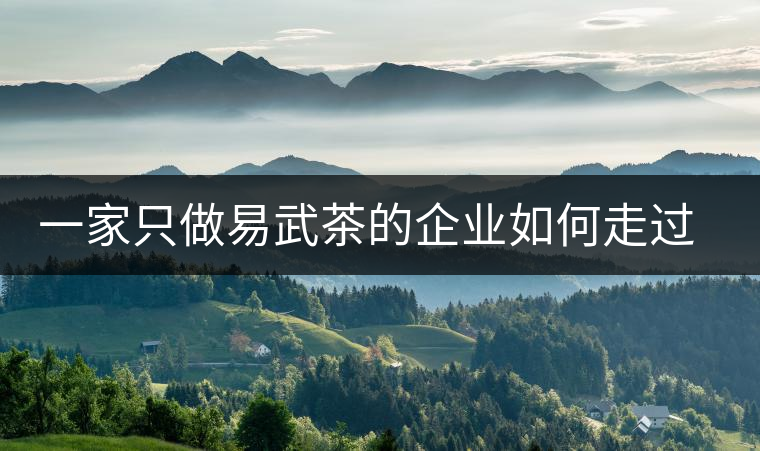 一家只做易武茶的企業(yè)如何走過了十年？