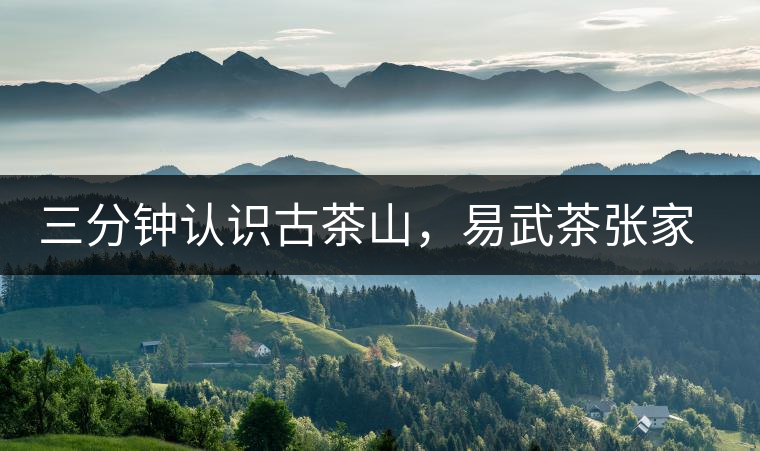 三分鐘認(rèn)識(shí)古茶山，易武茶張家灣寨普洱茶口感特點(diǎn)