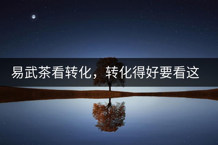 易武茶看轉(zhuǎn)化，轉(zhuǎn)化得好要看這三要素及品牌優(yōu)勢！
