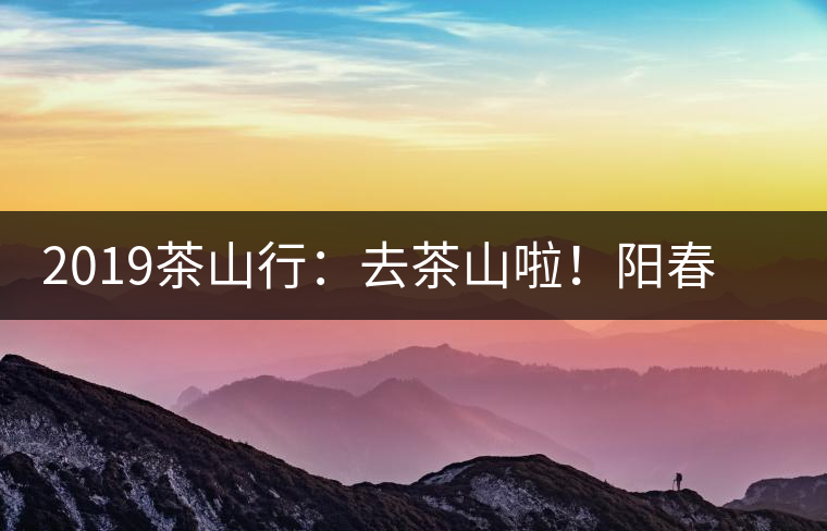 2019茶山行：去茶山啦！陽春三月，和南茗佳人一起上山喝好茶！