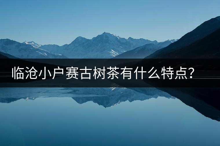臨滄小戶賽古樹茶有什么特點(diǎn)？因何被稱為“賽冰島”？