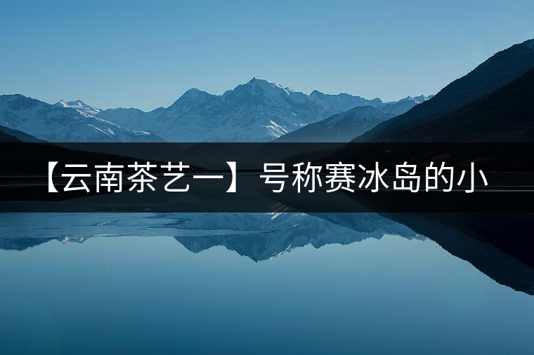 【云南茶藝一】號稱賽冰島的小戶賽憑什么！今天帶大家一起研究下