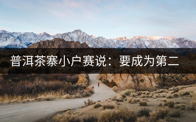 普洱茶寨小戶賽說(shuō)：要成為第二個(gè)冰島，勐庫(kù)普洱茶圈都爆了！