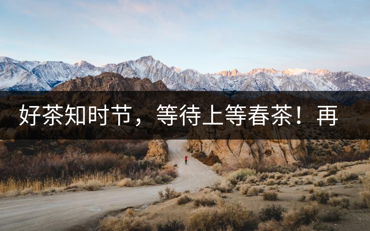 好茶知時(shí)節(jié)，等待上等春茶！再來(lái)回味這些年喝過(guò)的小戶賽古樹(shù)春茶
