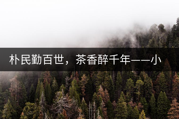 樸民勤百世，茶香醉千年——小戶賽古寨