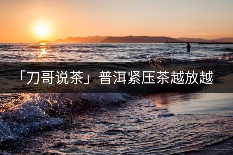 「刀哥說茶」普洱緊壓茶越放越膨脹還是越收縮？