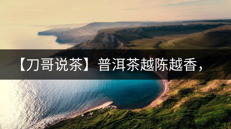 【刀哥說(shuō)茶】普洱茶越陳越香，為什么新茶更受歡迎？