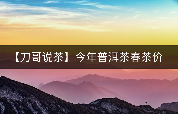 【刀哥說茶】今年普洱茶春茶價格，我不預(yù)測