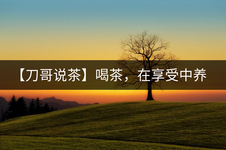 【刀哥說茶】喝茶，在享受中養(yǎng)生的最佳選擇