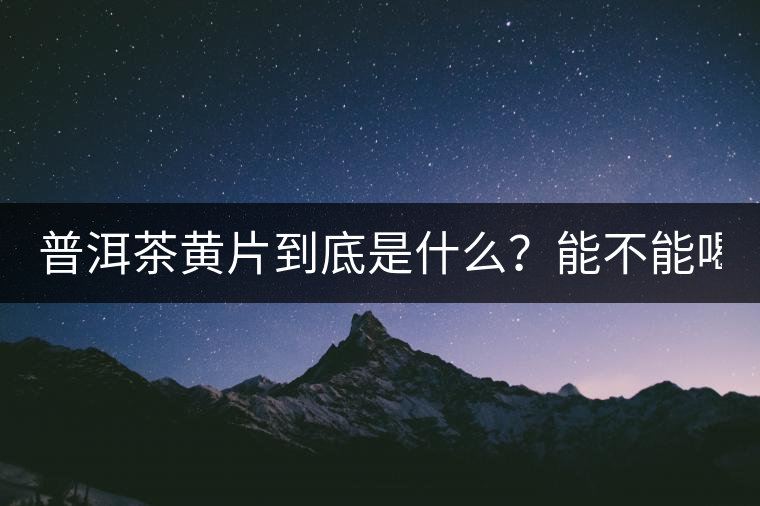 普洱茶黃片到底是什么？能不能喝？