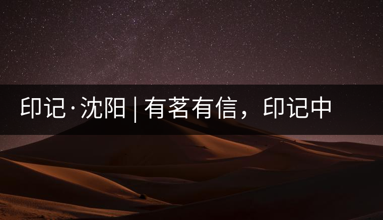 印記·沈陽(yáng) | 有茗有信，印記中茶，中茶普洱亮相沈陽(yáng)茶博會(huì)