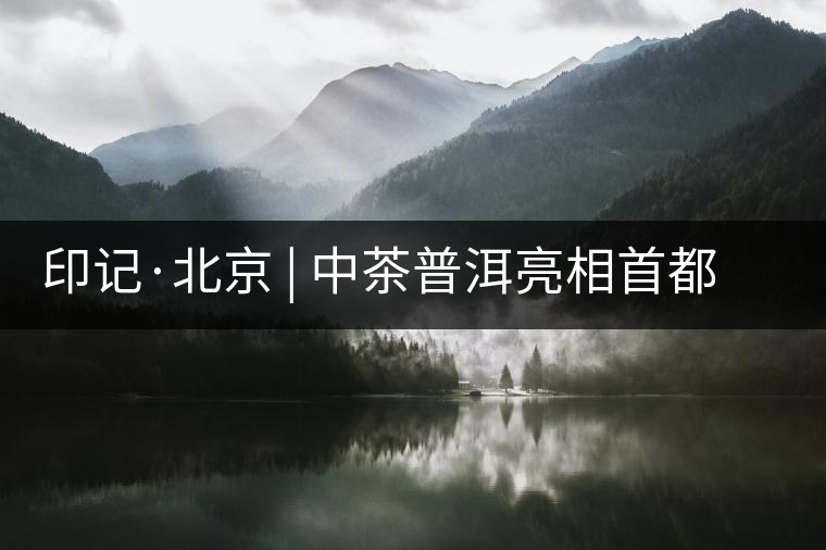印記·北京 | 中茶普洱亮相首都，“大紅印”斬獲“特別金獎(jiǎng)”