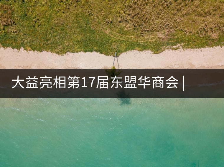 大益亮相第17屆東盟華商會(huì) | 海內(nèi)外嘉賓共謀發(fā)展，共品大益茶