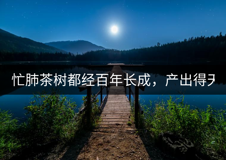 忙肺茶樹(shù)都經(jīng)百年長(zhǎng)成，產(chǎn)出得天獨(dú)厚的好味道:入口香...忙肺茶樹(shù)都經(jīng)百年長(zhǎng)成，產(chǎn)出得天獨(dú)厚的好味道：入口香甜回甘持久