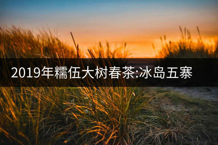 2019年糯伍大樹春茶:冰島五寨甜柔口感的代表，售價不...2019年糯伍大樹春茶：冰島五寨甜柔口感的代表，售價不到500