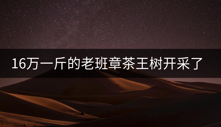 16萬(wàn)一斤的老班章茶王樹(shù)開(kāi)采了，茶友果斷拉了一車(chē)現(xiàn)金去...16萬(wàn)一斤的老班章茶王樹(shù)開(kāi)采了，茶友果斷拉了一車(chē)現(xiàn)金去！