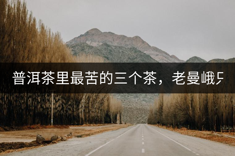 普洱茶里最苦的三個(gè)茶，老曼峨只能排第三！