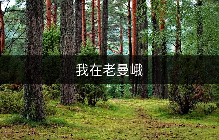 我在老曼峨
