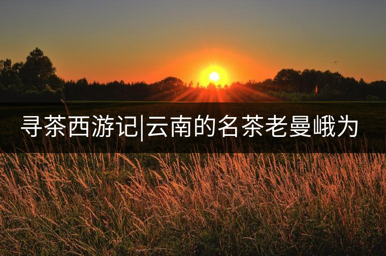 尋茶西游記|云南的名茶老曼峨為什么這么多人愛(ài)，這里...尋茶西游記｜云南的名茶老曼峨為什么這么多人愛(ài)，這里給你答案！