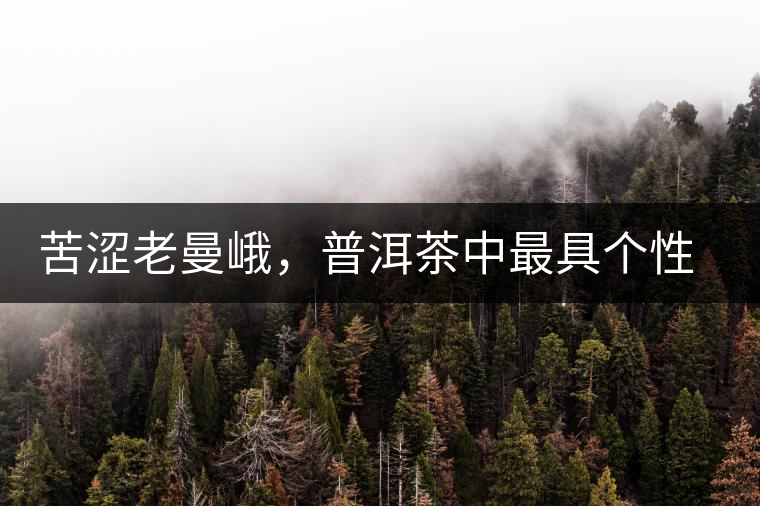 苦澀老曼峨，普洱茶中最具個性的“布朗味”苦澀老曼峨，普洱茶中最具個性的“布朗味”