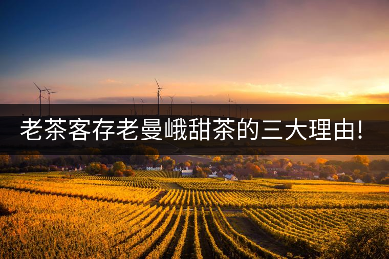 老茶客存老曼峨甜茶的三大理由!老茶客存老曼峨甜茶的三大理由！