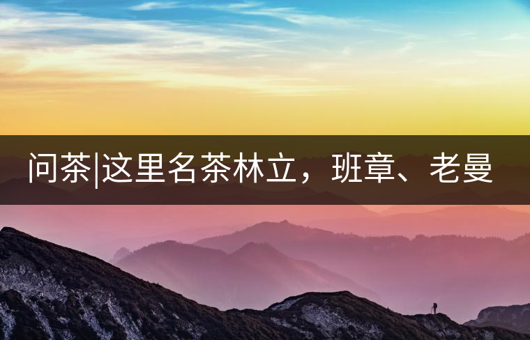 問茶|這里名茶林立，班章、老曼峨皆在其列!問茶｜這里名茶林立，班章、老曼峨皆在其列！