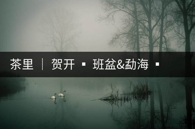 茶里 │ 賀開(kāi) ? 班盆&勐海 ? 南糯山多依寨/拔瑪 ? 帕沙 茶里 │ 賀開(kāi) ? 班盆&勐海 ? 南糯山多依寨/拔瑪 ? 帕沙