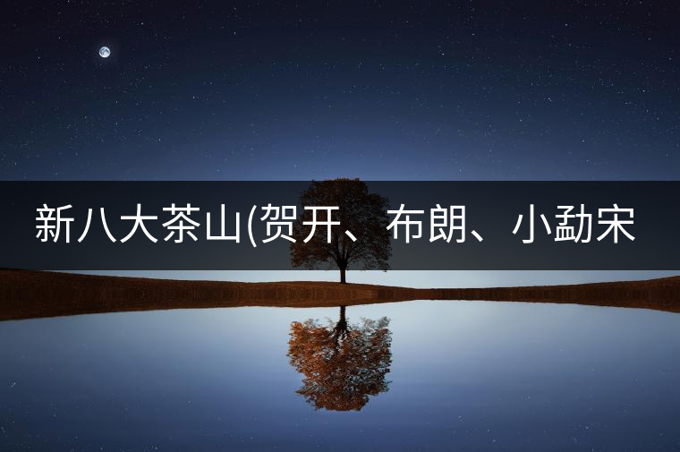 新八大茶山(賀開(kāi)、布朗、小勐宋、巴達(dá))講解二新八大茶山（賀開(kāi)、布朗、小勐宋、巴達(dá)）講解二