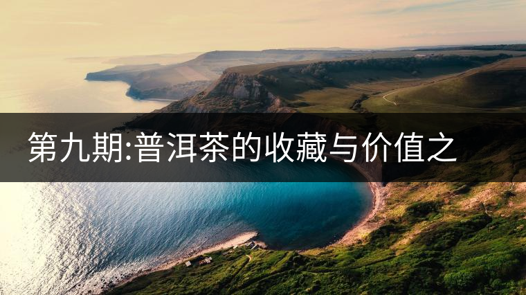 第九期:普洱茶的收藏與價(jià)值之新六大茶山賀開(kāi)與景邁《老徐談茶》第九期:普洱茶的收藏與價(jià)值之新六大茶山賀開(kāi)與景邁 第九期:普洱茶的收藏與價(jià)值之新六大茶山賀開(kāi)與景邁《老徐談茶》第九期:普洱茶的收藏與價(jià)值之新六大茶山賀開(kāi)與景邁
