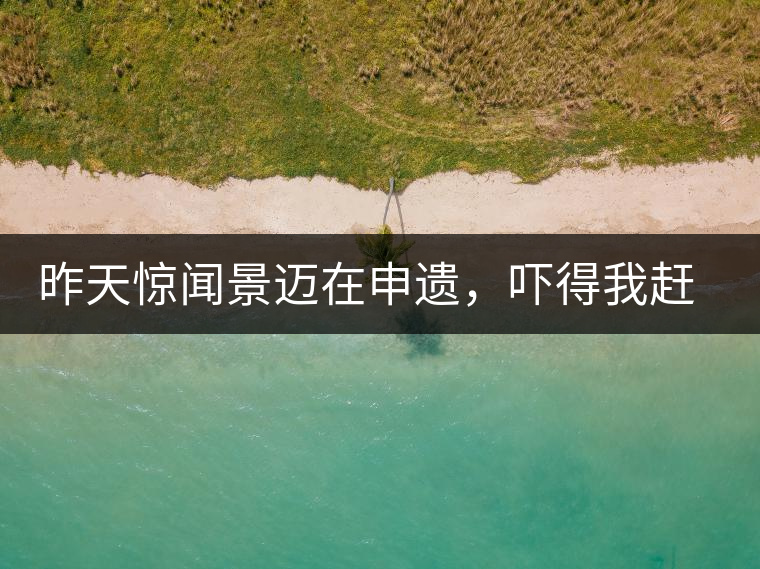 昨天驚聞景邁在申遺，嚇得我趕緊拿出景邁茶……昨天驚聞景邁在申遺，嚇得我趕緊拿出景邁茶……