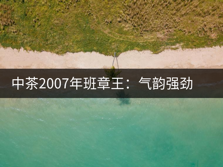 中茶2007年班章王：氣韻強勁，蜂蜜水般甜潤，一直被老茶客撿漏