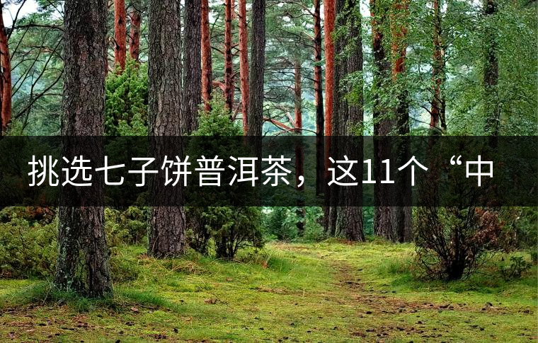 挑選七子餅普洱茶，這11個(gè)“中茶”標(biāo)志千萬(wàn)別弄混!挑選七子餅普洱茶，這11個(gè)“中茶”標(biāo)志千萬(wàn)別弄混！