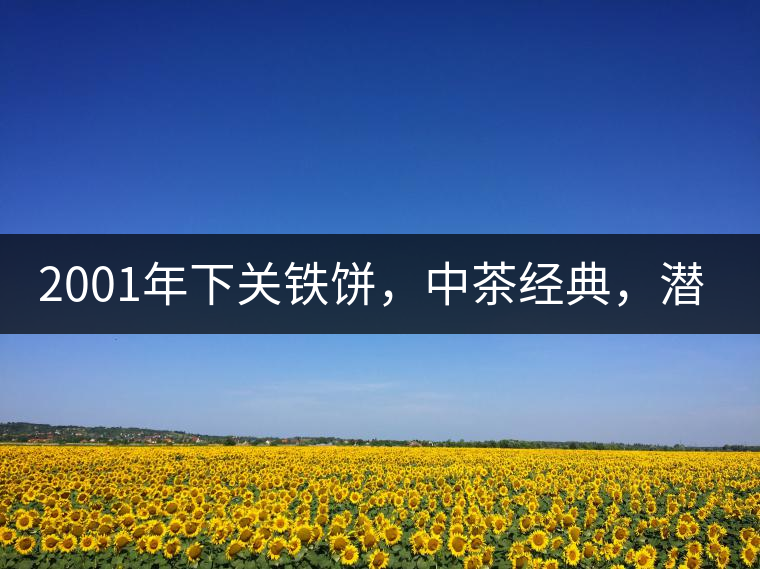 2001年下關(guān)鐵餅，中茶經(jīng)典，潛力可期!