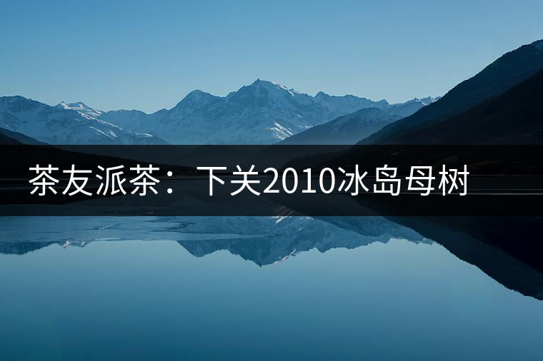 茶友派茶：下關(guān)2010冰島母樹，挺甜的，母樹是個(gè)什么概念？