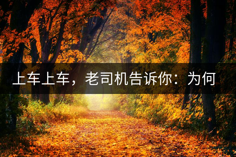 上車(chē)上車(chē),老司機(jī)告訴你:為何明前茶貴如金 上車(chē)上車(chē),老司機(jī)告訴你:為何明前茶貴如金